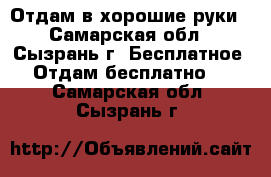 Отдам в хорошие руки - Самарская обл., Сызрань г. Бесплатное » Отдам бесплатно   . Самарская обл.,Сызрань г.